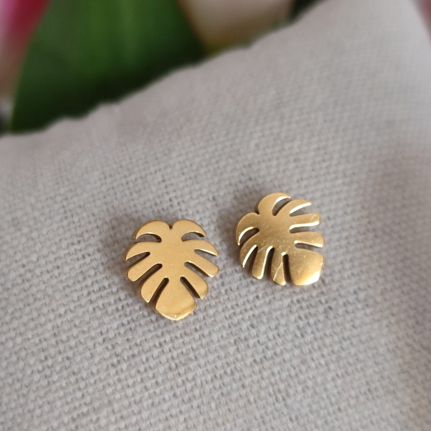 Feuille monstera