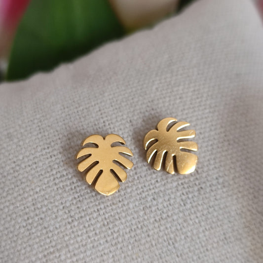 Feuille monstera